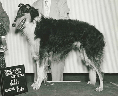 Top Conformation Borzoi 1953